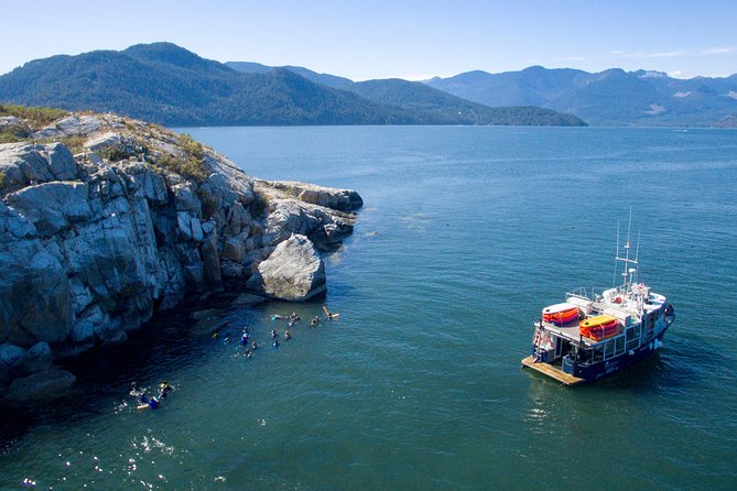 Scuba Dive Boat Charter in Vancouver (Certified Divers Only!) - Underwater stops: HMCS Annapolis plus reef and wall terrain