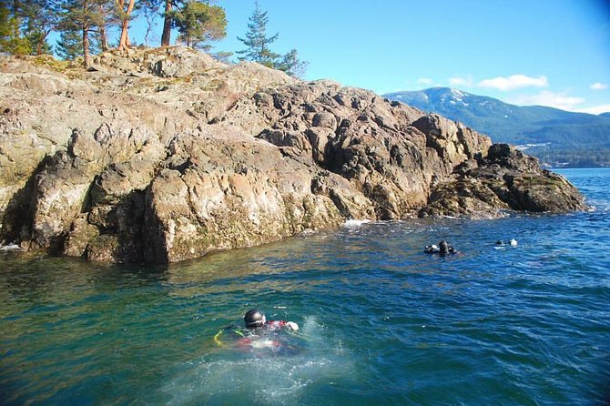 Scuba Dive Boat Charter in Vancouver (Certified Divers Only!) - Ride-along only: how non-divers can still enjoy Howe Sound