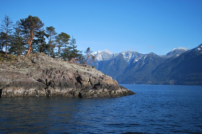 Scuba Dive Boat Charter in Vancouver (Certified Divers Only!) - Price of $112.62: when it feels like a deal