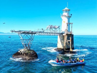 Scuba Dive in Cape Town: 2 Dives for certified divers - From the ramp to the first site: safety briefings and small-group pacing