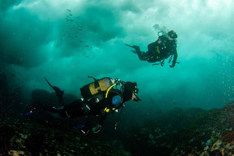 Scuba Dive in Cape Town: 2 Dives for certified divers - Between sessions: hot chocolate, snacks, and False Bay mountains