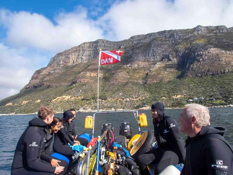 Scuba Dive in Cape Town: 2 Dives for certified divers - Second underwater outing in the kelp forest: stingrays, catsharks, and octopus