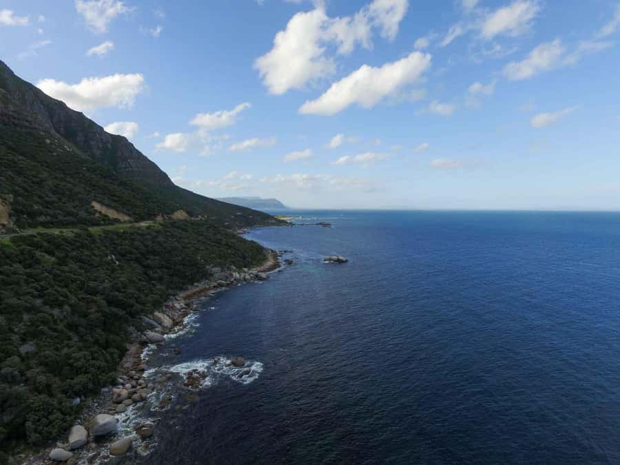 Scuba Dive in Cape Town: 2 Dives for certified divers - Who should book this, and who should skip it