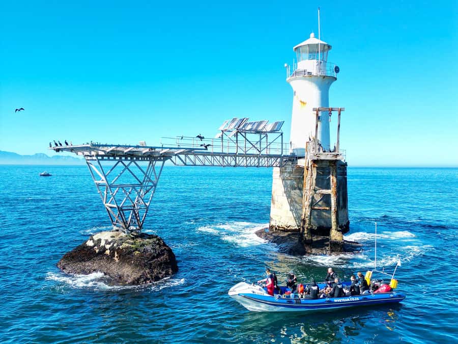 Scuba Dive in Cape Town: 2 Dives for certified divers - From the ramp to the first site: safety briefings and small-group pacing
