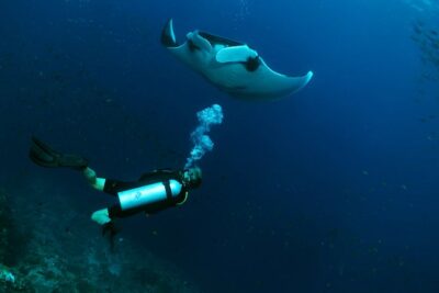 Scuba Dive in Koh Lanta, Thailand - Your Morning Flow: 8:00 Start, Hotel Pickup, and Smart Check-In