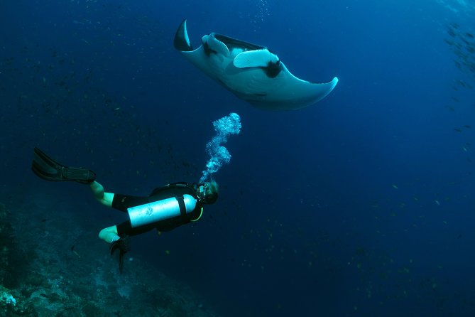 Scuba Dive in Koh Lanta, Thailand - Your Morning Flow: 8:00 Start, Hotel Pickup, and Smart Check-In