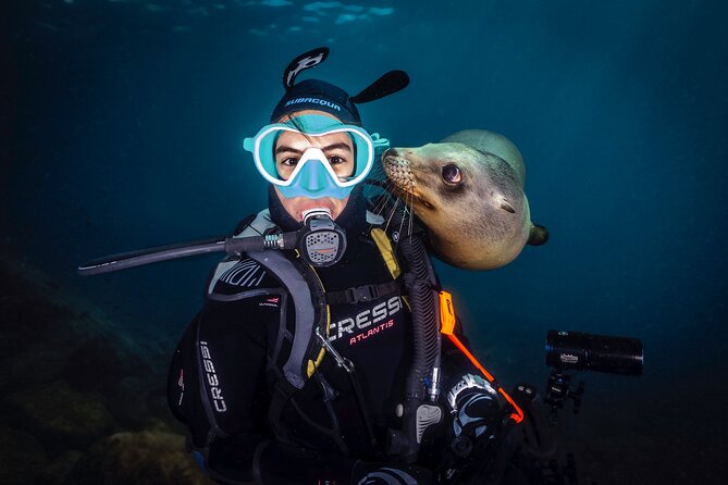 Scuba Dive in La Paz: Sea Lions, Turtles, Fish Schools and Wrecks - Price and value: what $226.40 covers, and what to watch
