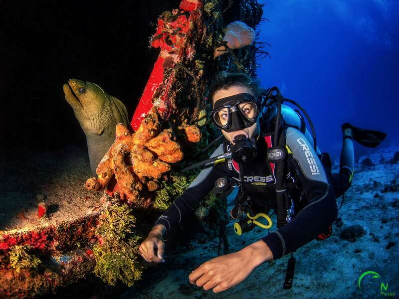 Scuba Dive in Playa del Carmen - 2 Dives (Certified divers) - Rules that affect your comfort underwater