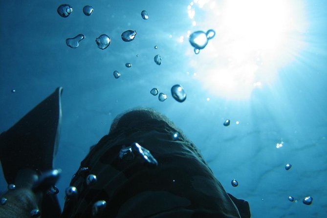 SCUBA DIVE: Kallithea's Underwater Exploration - Kallithea reef try-scuba: what you’re really buying