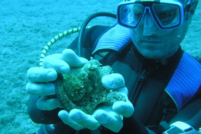 SCUBA DIVE: Kallithea's Underwater Exploration - Your first underwater session: depth, time, and what to watch for