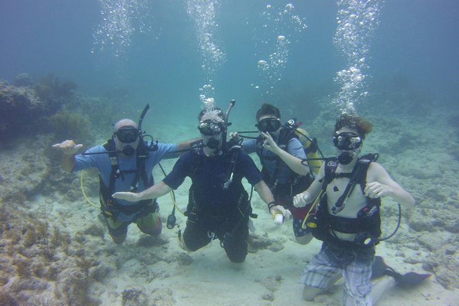 SCUBA Dive Key Largo Reef (min 6 divers) - Key Highlights to Know Before You Book