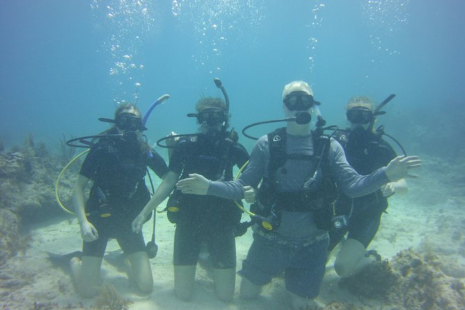 SCUBA Dive Key Largo Reef (min 6 divers) - A 40-Minute Boat Ride to the Reef That Actually Feels Manageable