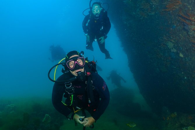 Scuba Dive The Beautiful Rottnest Island for Certified divers - Key highlights you’ll care about