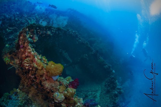 Scuba Dive the S.S. Yongala Wreck on the Great Barrier Reef. - Key things that make this tour worth your time
