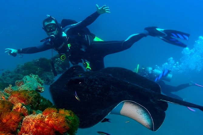 Scuba Dive the S.S. Yongala Wreck on the Great Barrier Reef. - A safety-focused crew with a day that can feel busy