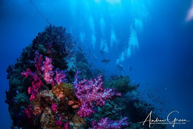 Scuba Dive the S.S. Yongala Wreck on the Great Barrier Reef. - Townsville morning reality: transport, timing, and meeting point