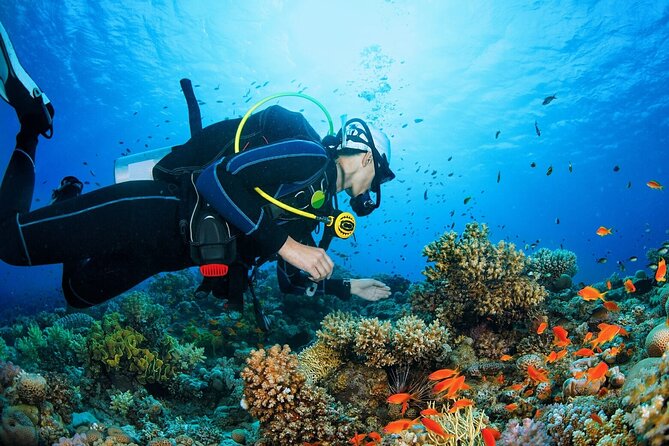 Scuba dive with sharing transfers - Should You Book Travel Square’s DSD Try-Scuba?