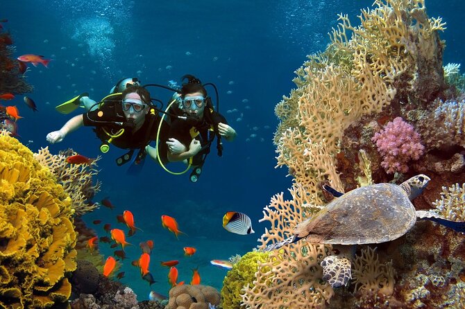 Scuba dive with sharing transfers - Safety Training That Starts Before You Go In