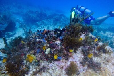 Scuba Diver Certification Course - Day 2 Part 1: Confined Water Skills (Where Confidence Gets Built)