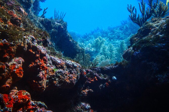 Scuba Diver Certification Course - Instruction Style and Safety Signals (Who You Might Meet)