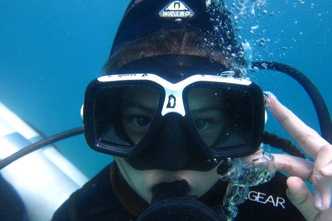 Scuba Diver Course (PADI) - Key things to know before you go