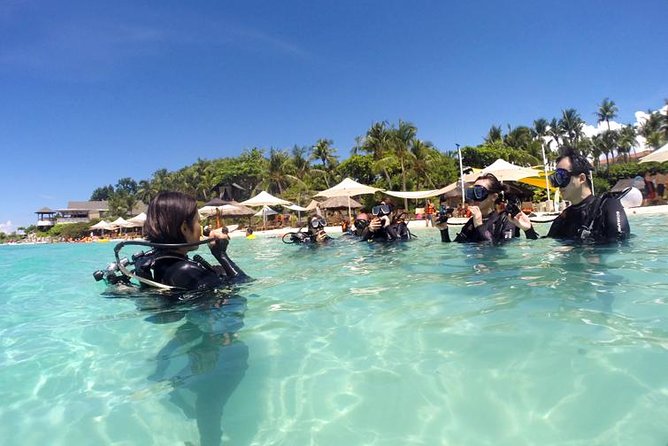 Scuba Diver Course (PADI) - Price versus value in Cebu: who should consider this course