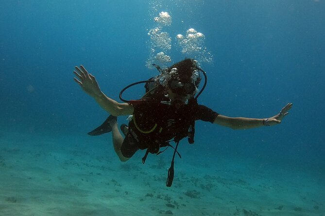Scuba Diving (1st time) in Cancun Beginner's WELCOMED! - First-Time Scuba in Cancun: Calm Setup, Small Group, Real Instruction