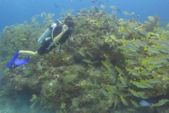 Scuba Diving (1st time) in Cancun Beginner's WELCOMED! - Motion Sickness and First-Time Nerves: How to Prepare So You Enjoy It