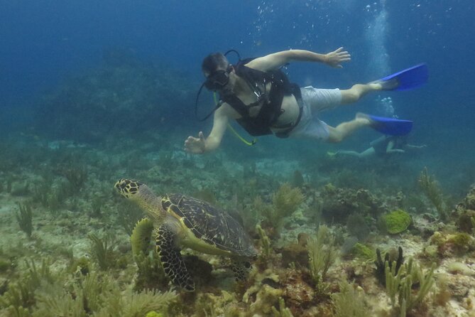 Scuba Diving (1st time) in Cancun Beginner's WELCOMED! - Who Should Book This 5.5-Hour First-Time Program (and Who Should Skip)