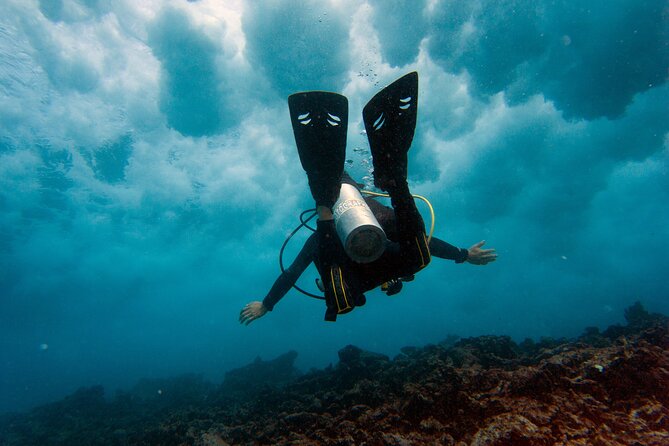 Scuba Diving (1st time) in Cancun Beginner's WELCOMED! - What Happens Before You Go Under: Swimming, Pool Skills, and Ear Equalizing