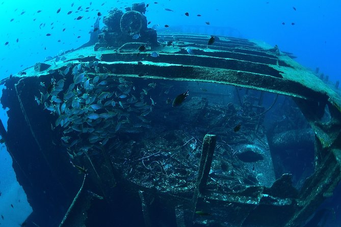 Scuba Diving - Cabo San Lucas in 4 Hours: The Real Value of a 2-Tank Plan