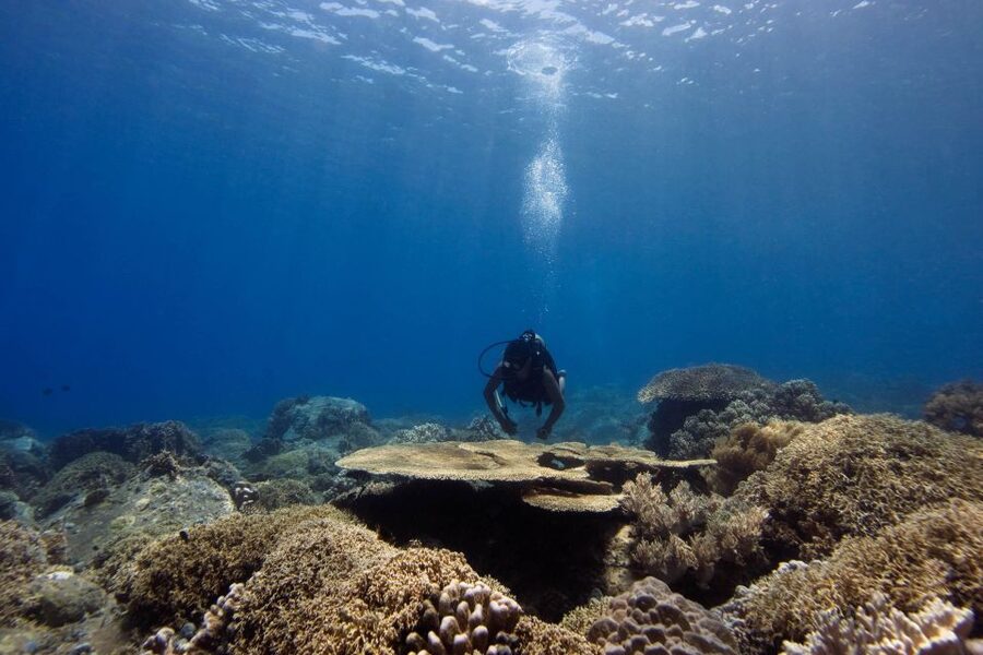 Scuba Diving 3 Islands Nha Trang Tour - Key things to know before you go