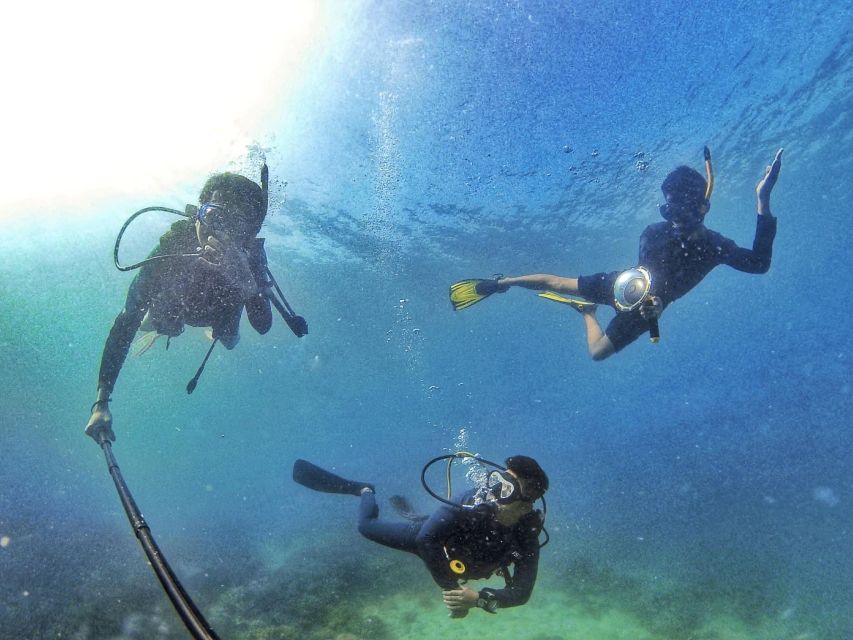 Scuba Diving 3 Islands Nha Trang Tour - Lunch at the fishing village area: Con Sê Tre tourist resort