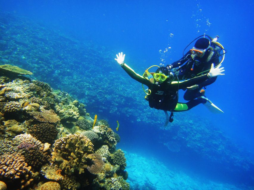 Scuba Diving 3 Islands Nha Trang Tour - Pickup, timing, and how the day actually feels