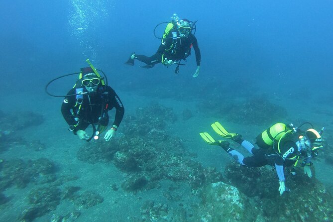 Scuba Diving - Pelikan Rock and Land’s End vs. Santa Maria and Chileno