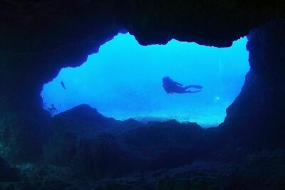 Scuba Diving - Where You Meet and What “Moderate Fitness” Really Means