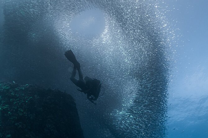 Scuba Diving - What’s Included in $149, and What You Might Pay Extra For