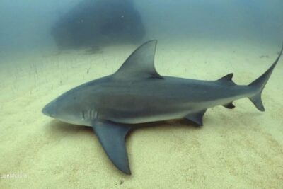 Scuba Diving adventure Cabo pulmo - Hotel pickup and the 8:00 am rhythm (aka: fewer headaches)