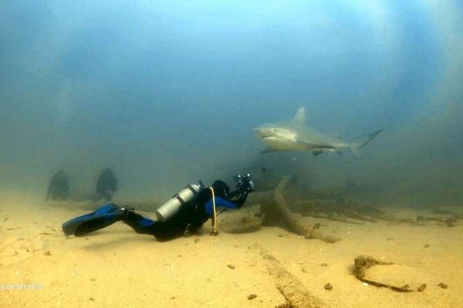 Scuba Diving adventure Cabo pulmo - The main event: underwater time at Cabo Pulmo Marine Preserve