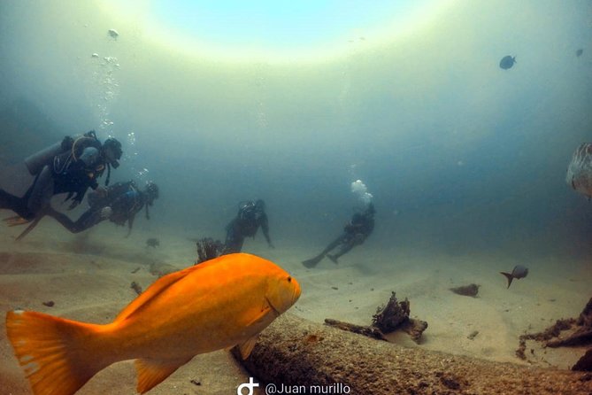 Scuba Diving adventure Cabo pulmo - Timing and group size: why max 18 travelers feels better