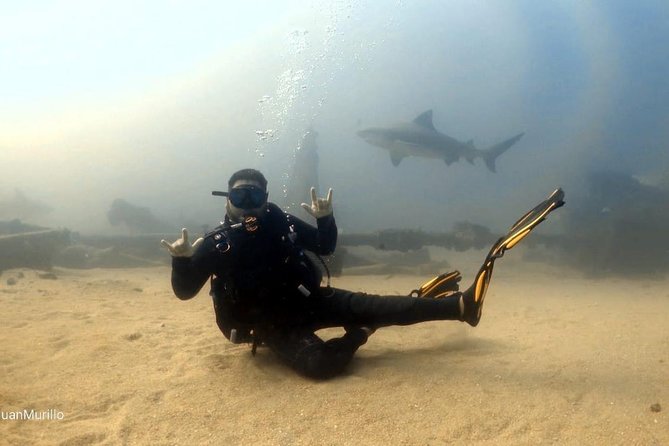Scuba Diving adventure Cabo pulmo - How to prep so you get the best experience