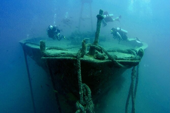 Scuba Diving Adventure in La Paz - Who Should Book This Scuba Adventure in La Paz