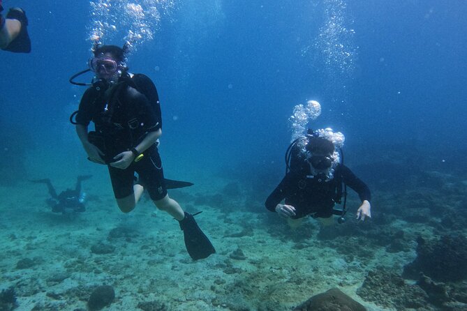 Scuba Diving Adventure in Musandam, Oman - Lima Rock and beyond: how the sites are chosen and timed