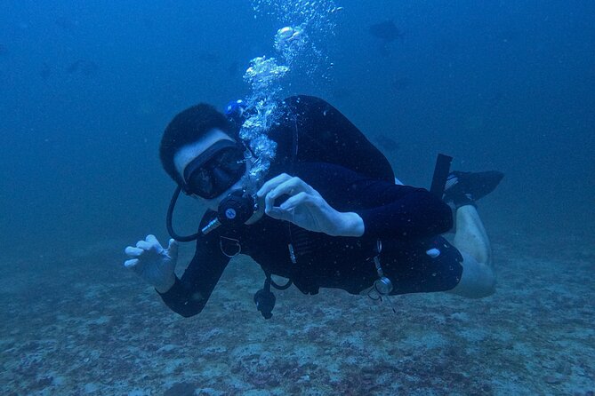 Scuba Diving Adventure in Musandam, Oman - Safety-first instruction: what the crew does well
