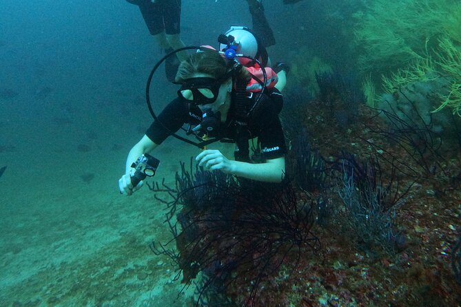 Scuba Diving Adventure in Musandam, Oman - What’s included vs. what you bring: the practical list