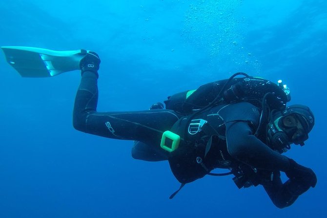 Scuba Diving Albufeira-Double Dive Trip - Key Points You’ll Care About
