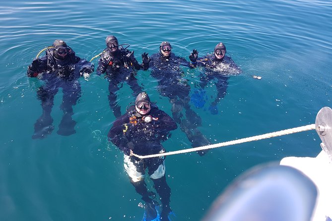 Scuba Diving Albufeira-Double Dive Trip - Certified Divers Only: Paperwork, Health Checks, and Swim Know-How