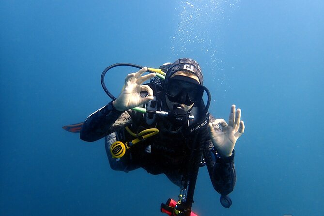 Scuba Diving Albufeira-Double Dive Trip - Who This Trip Fits Best in Your Algarve Plans