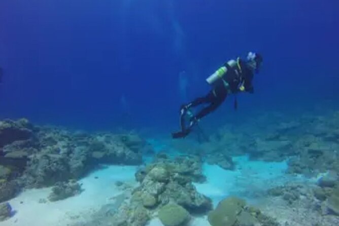 Scuba Diving and shopping on the Hipstrip. - Montego Bay Scuba: Why the Prep Matters Here