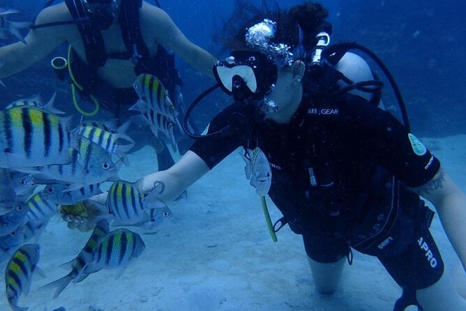 Scuba Diving and shopping on the Hipstrip. - After the Water: Shopping on the Hipstrip (Jimmy Cliff Boulevard)